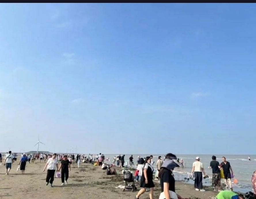 江苏南通启东市黄金海滩景区观光小火车疑坠海,致多人伤亡,真相如何?近日,江苏南