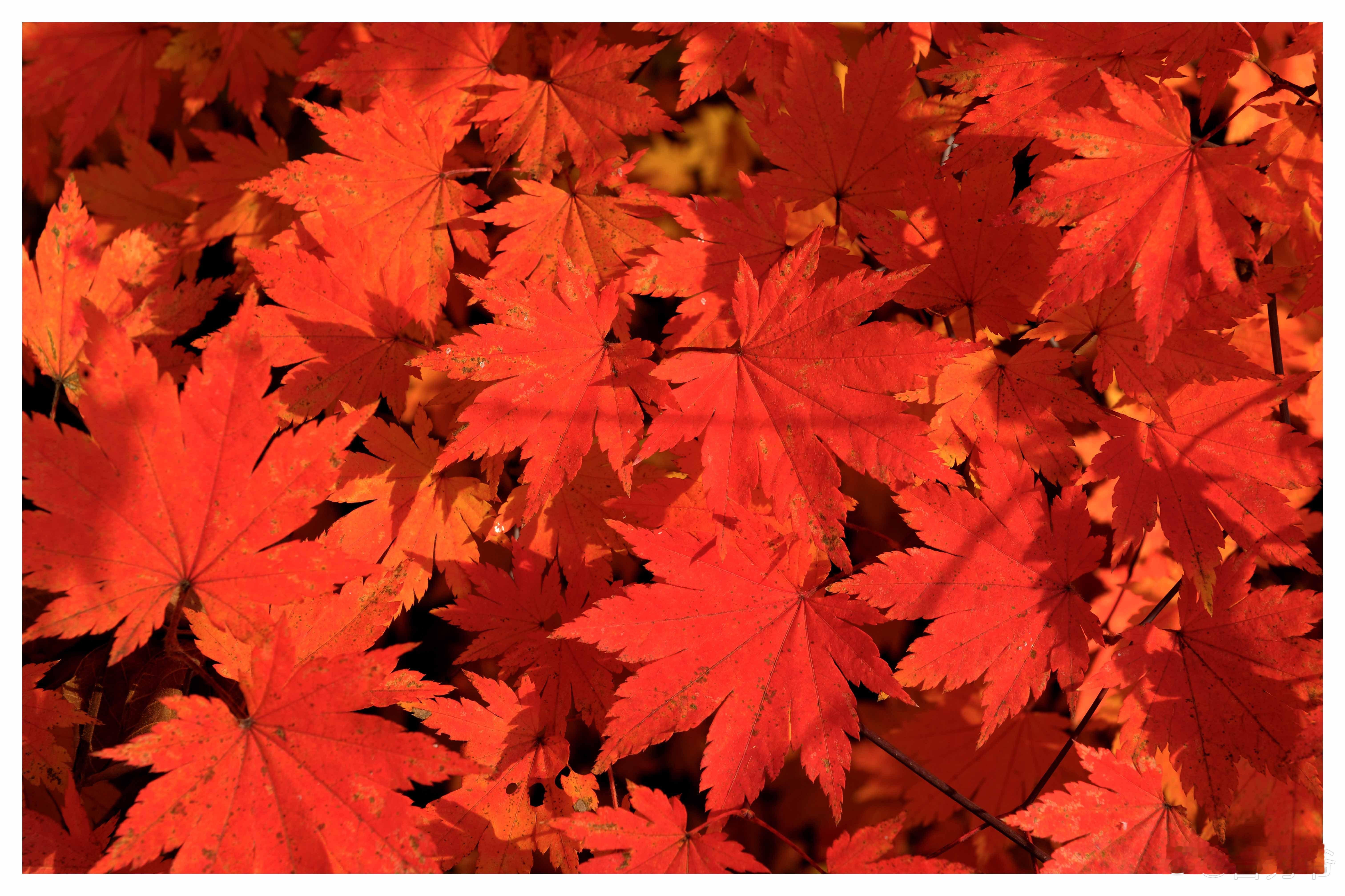 秋冬辽宁铁刹山氛围感拉满东北率先迈入秋冬，铁刹山的清冷山水与浓厚人文气息碰撞，