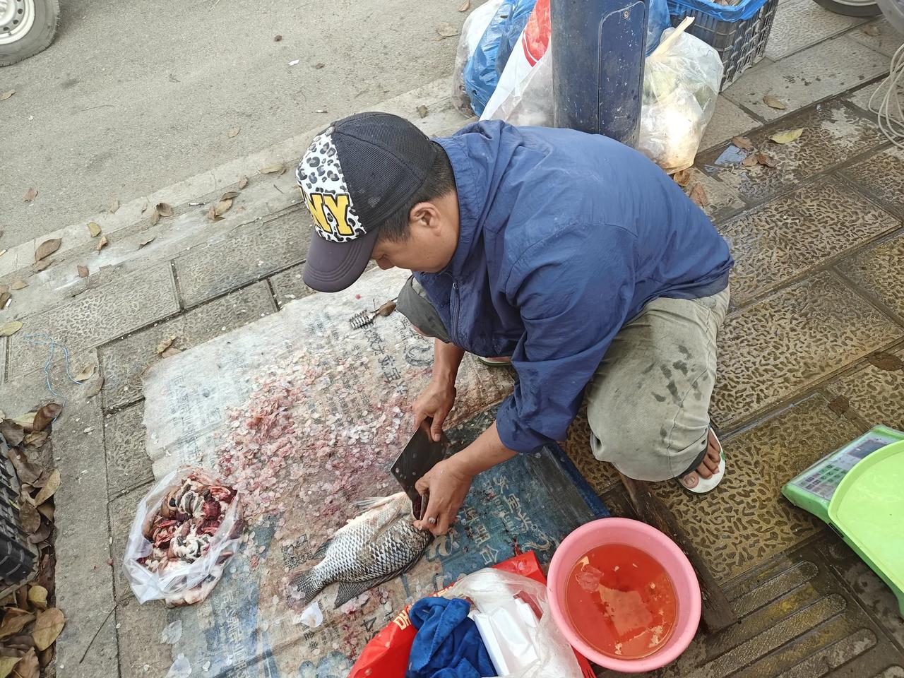 这小伙子是傣族，每天凌晨五点骑摩托车去橄榄坝水库钓鱼，主要钓罗非鱼，间或也有类似