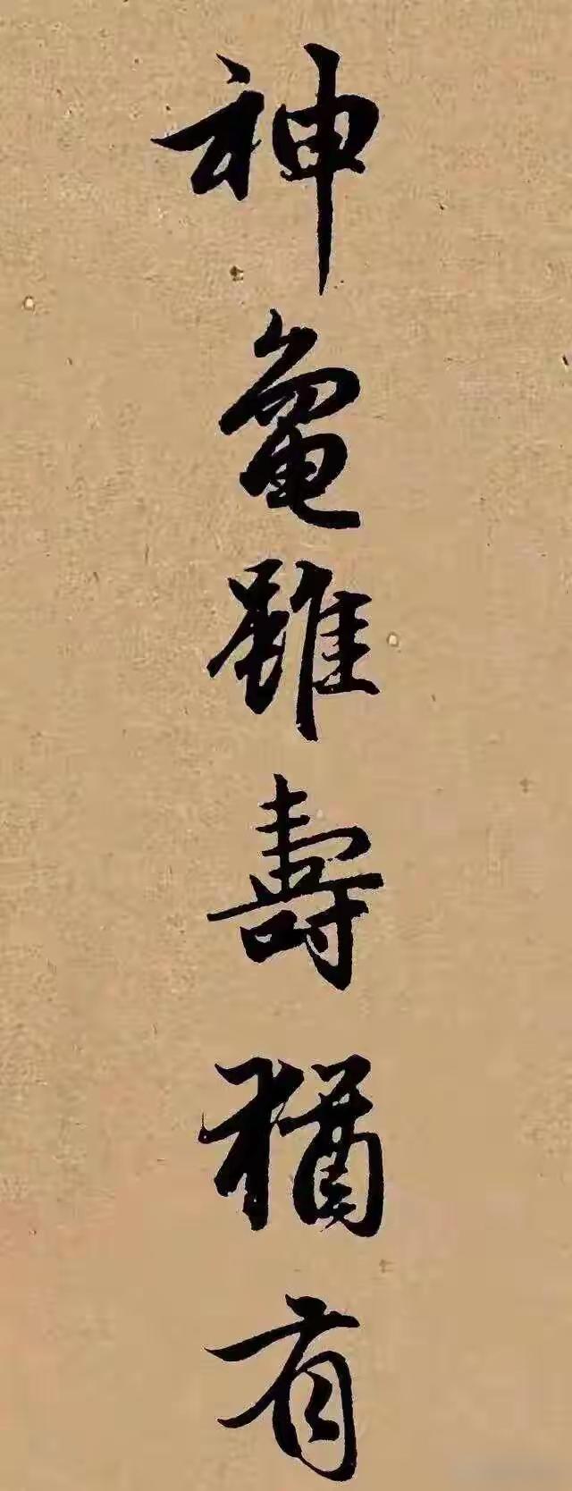 赵孟頫行书《龟虽寿》，字字夺目耀眼。《龟虽寿》乃曹操所作的一首励志诗，向来为历代