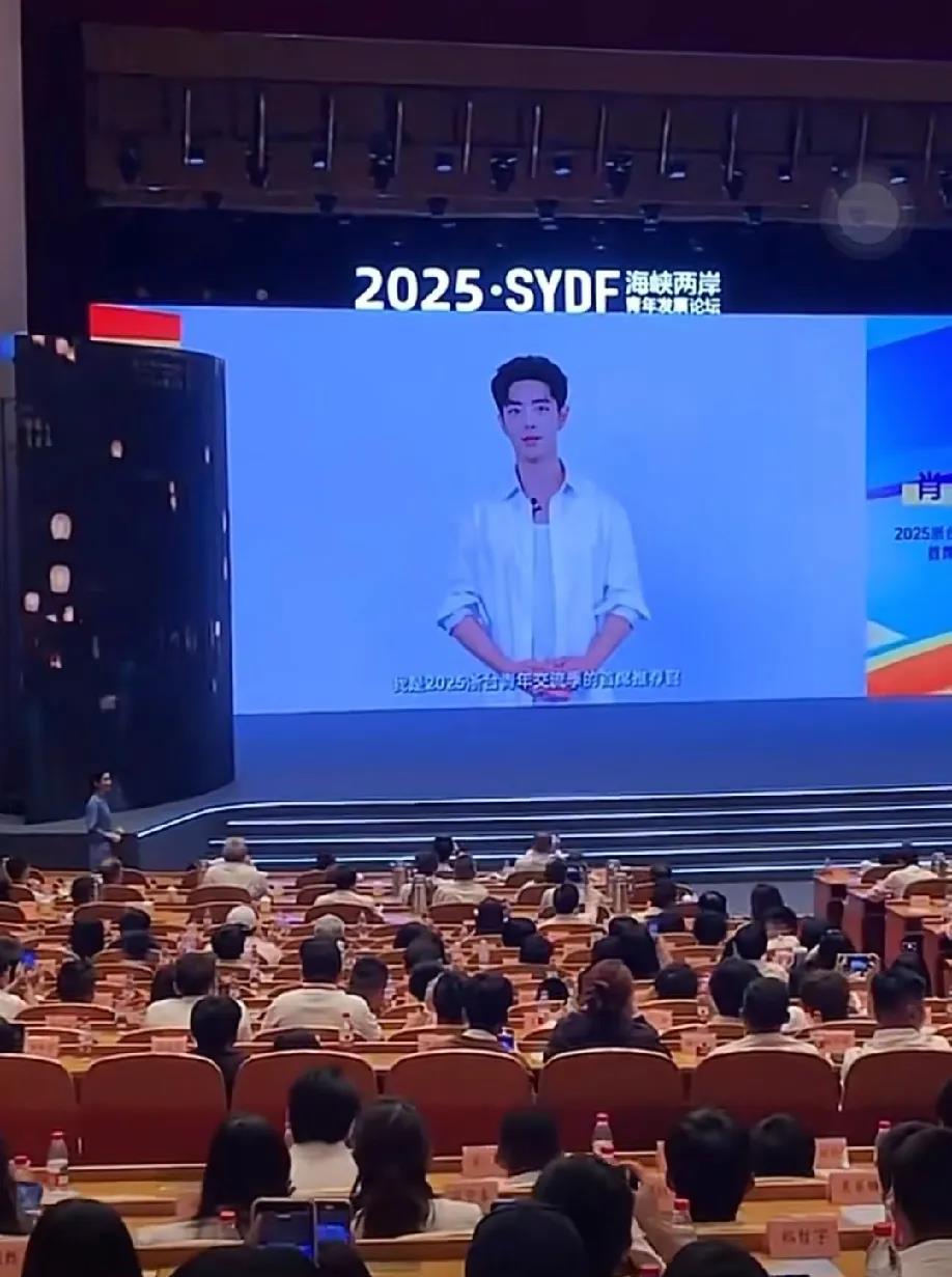 这才是真正的官方邀请2025第八届海峡两岸青年发展论坛，肖战的VCR一出来，台
