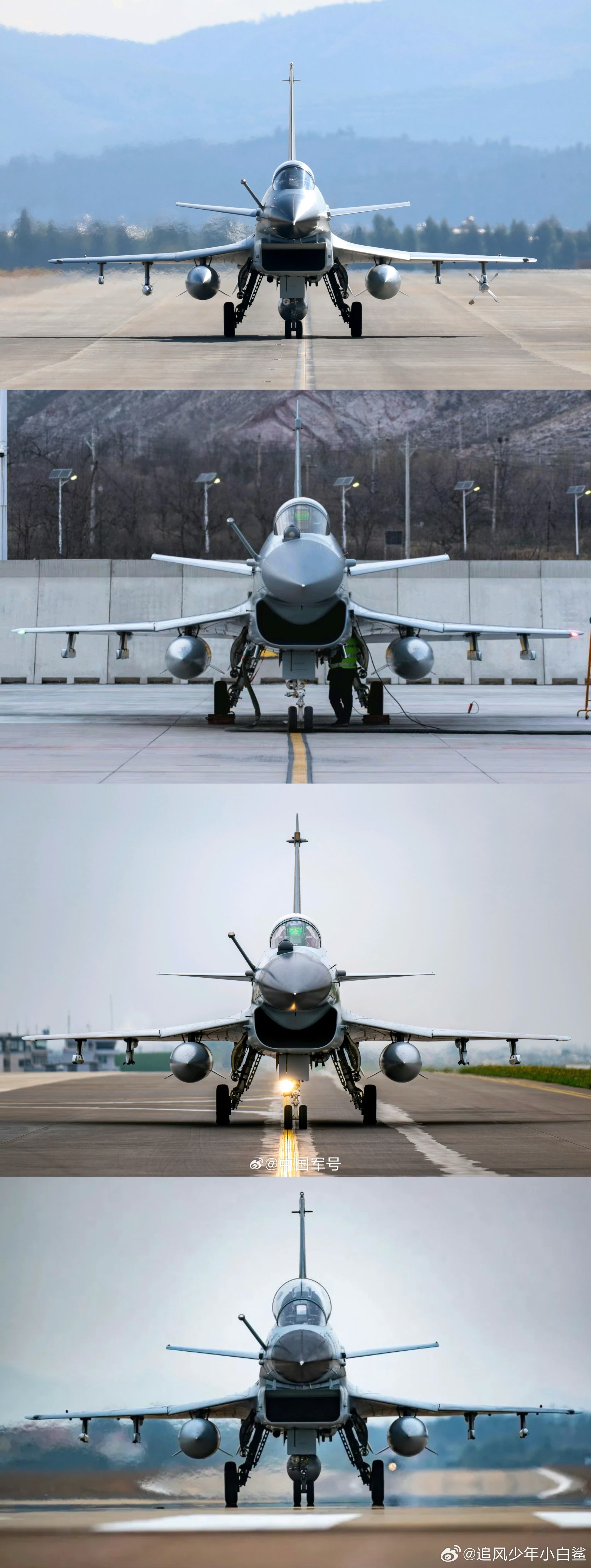 “猛龙”家族身份证照