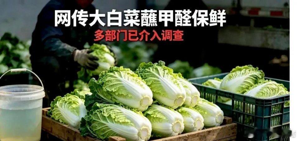 河北康保甲醛白菜事件引发热议，大家关注餐桌安全之余，一线作业工人的健康困境更值得