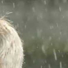 今天凌晨，葡超第24轮率先结束2场较量，争冠热门波尔图、葡萄牙体育队出战，这两场