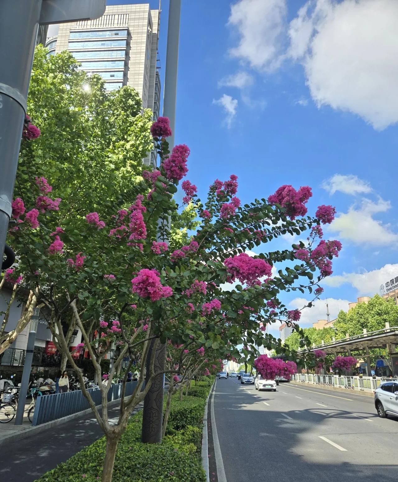 #随手拍一张你所在城市的蓝天景色#