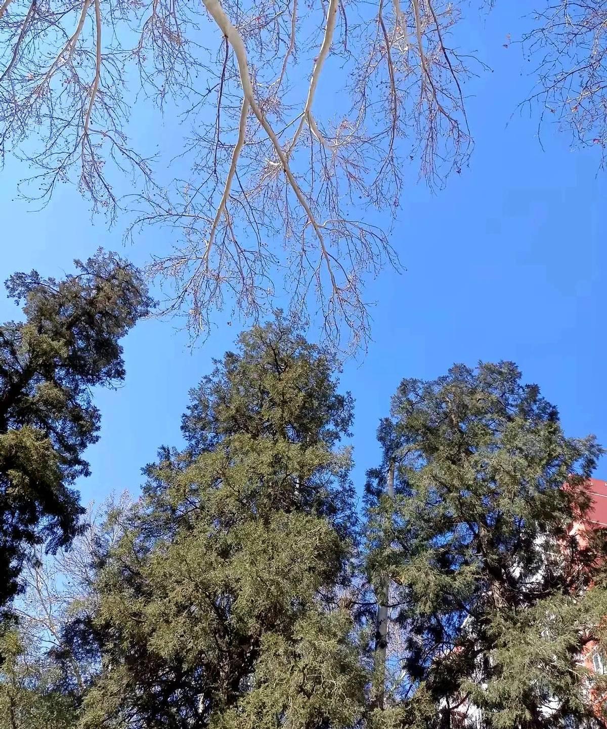 现在钱是真不好挣，上上下下都难。听朋友说他认识个小老板，前两年还风风火火请客吃
