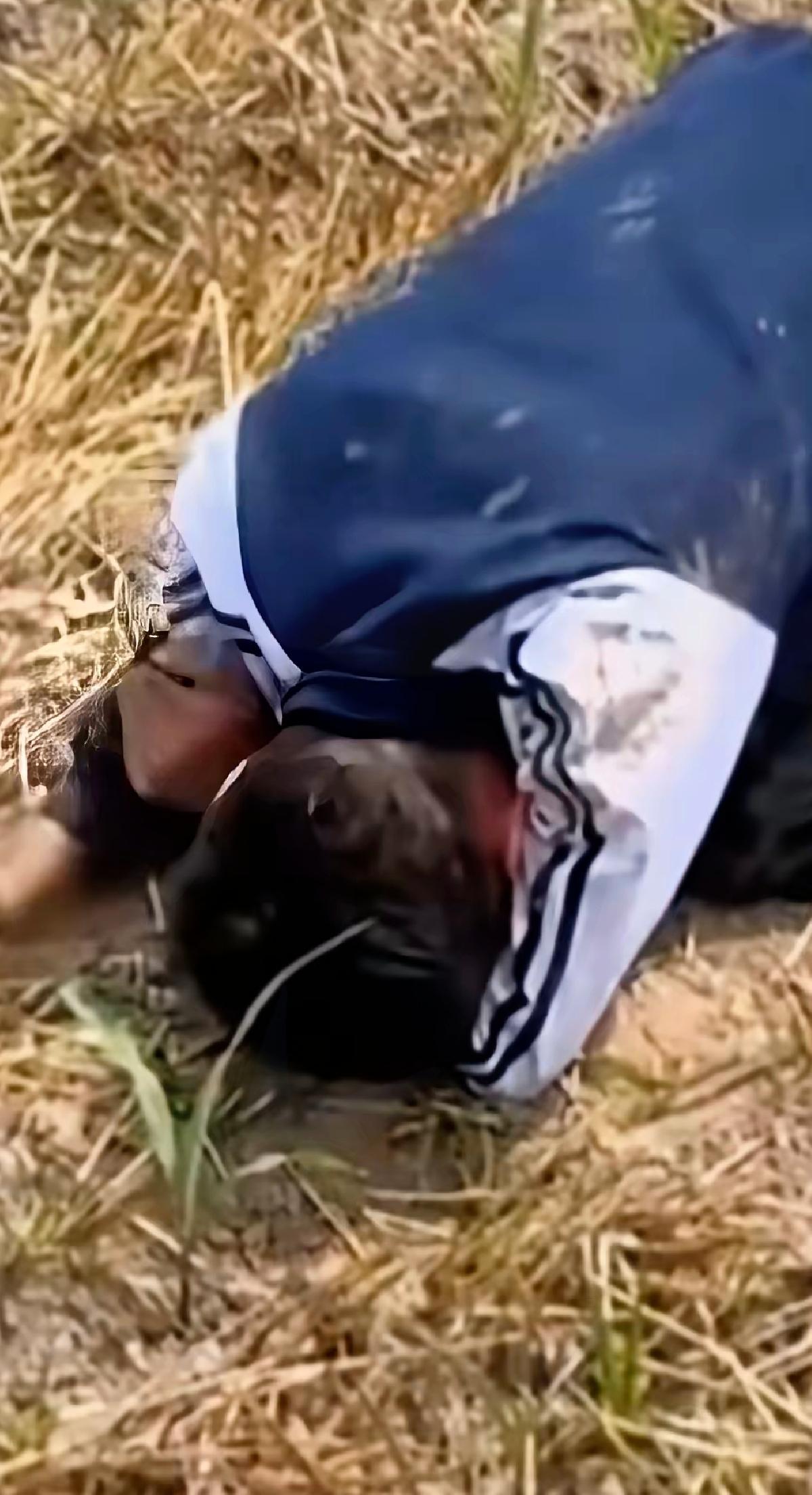 谁看了那个田埂上的哭声能不心疼？父母双亡独自扛过13年，终于等来了录取的曙光，