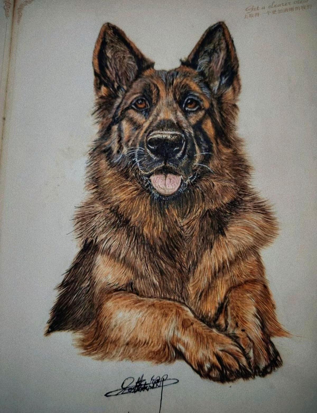 烙画作品德国牧羊犬。狗狗是人类最忠实的朋友