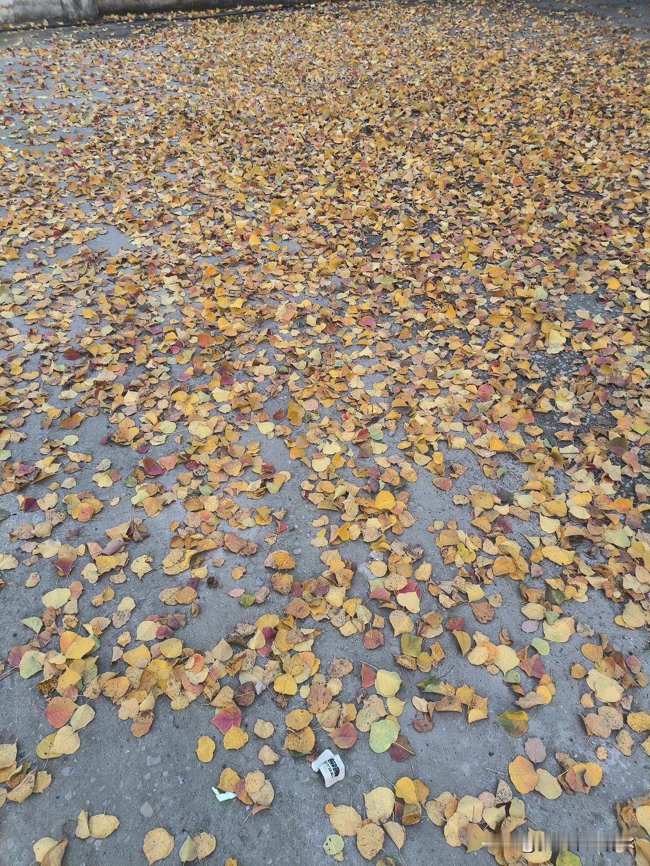 俗话说得好，“二婚娶二婚，一张床上两条心”。二婚过得好的也不少，过得一地鸡毛的