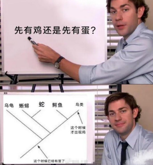 世界难题先有鸡还是先有蛋解决了～​​​