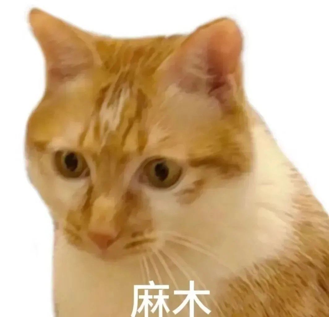 小猫咪也是有脾气的