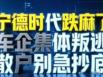 宁德时代跌麻了！车企集体“叛逃”，散户到底该不该跑？最近很多重仓宁德时代的投资者，心态彻底崩了。曾经