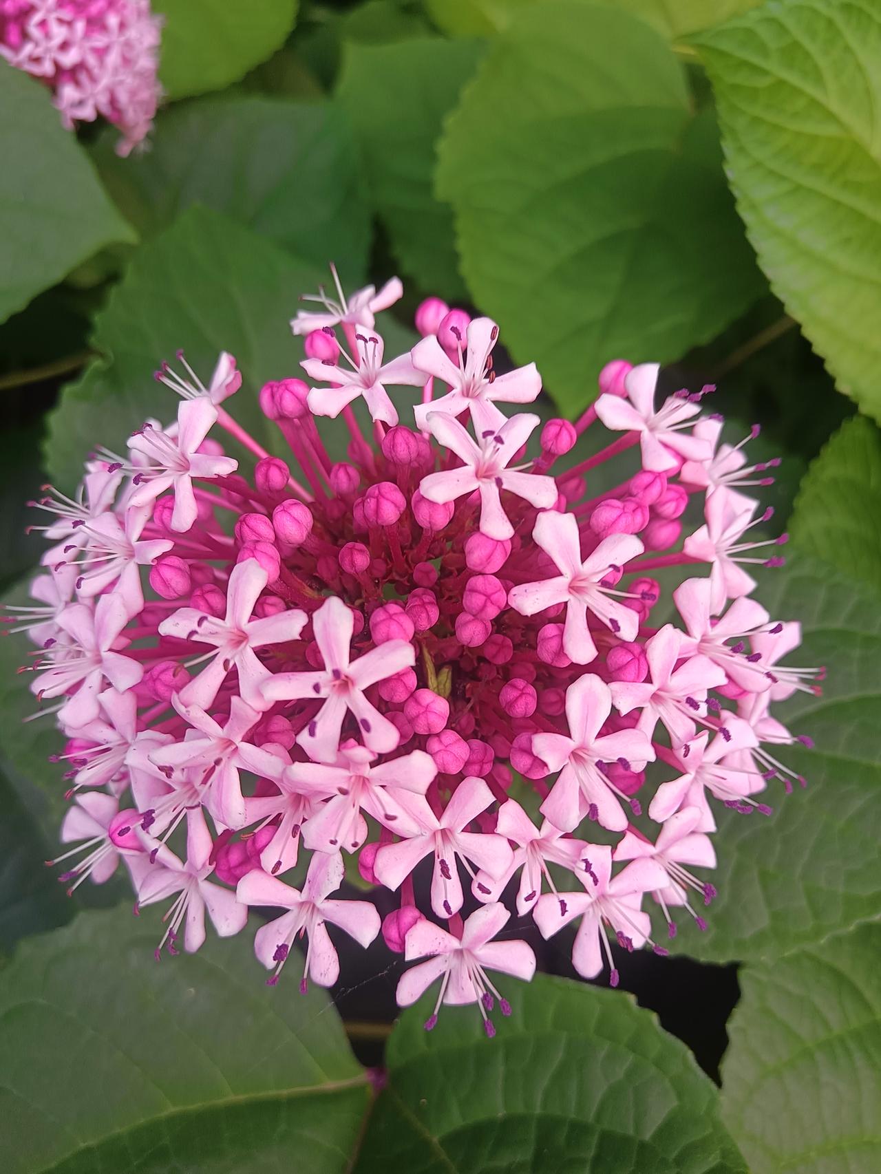 以前看不上的家常菜，现在成了下班路上心心念念的念想。原来我们折腾半生，不过是为