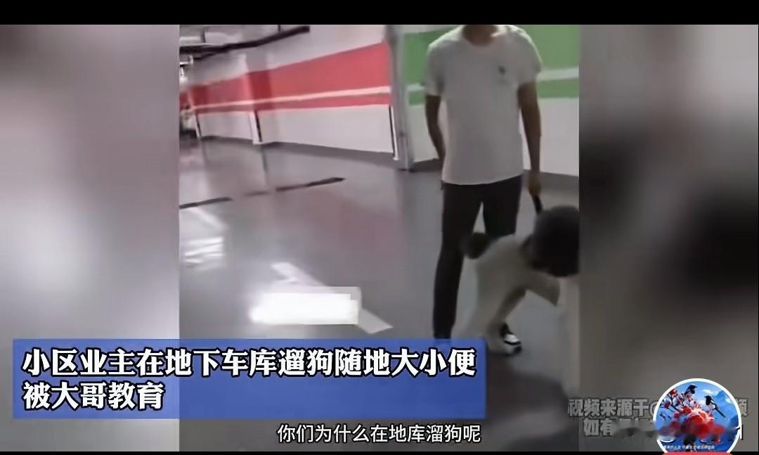 为什么非要去地下车库遛狗，看过视频下的评论才知道，很多地下车库都这种情况，爱狗人
