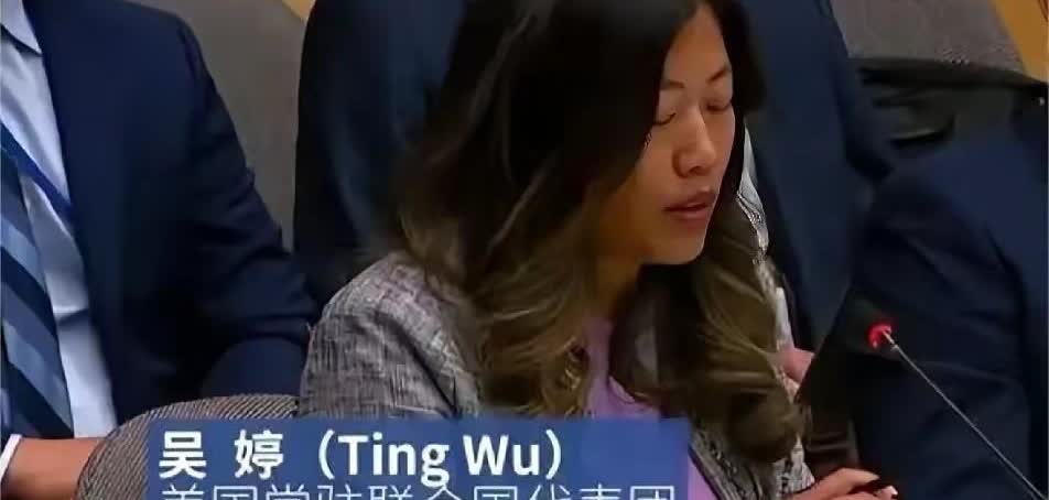 被耿爽怒骂的华裔女人被美国人当枪使的女人何许人也​吴婷，一个华裔