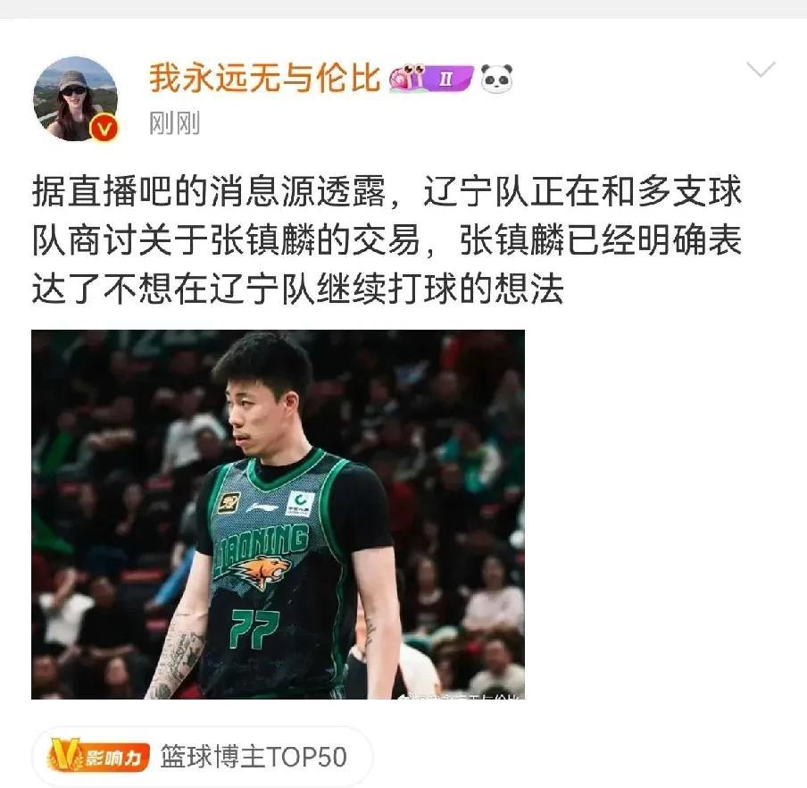 辽宁队真的要交易张镇麟？下赛季到底是准备冲冠还是重建CBA休赛季，各种转会、交