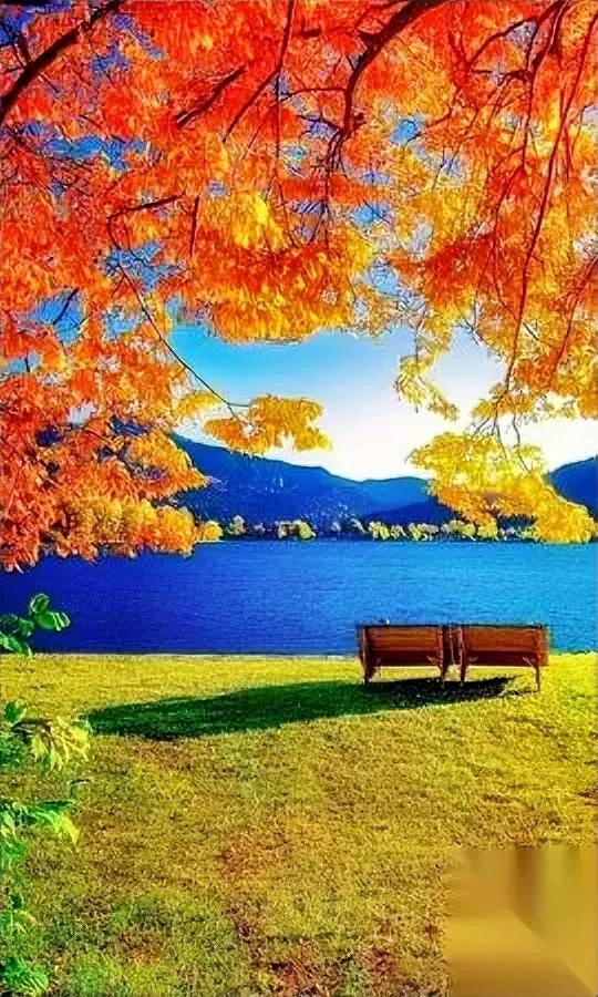 爸五十多了，第一次跟你掏心窝子。不是愧对你没住上大房子，是怕我藏了半辈子的话