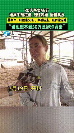 开封养牛的王女士7月19号刚卖了30头牛，46万血汗钱眼看落袋为安，买主爽快直接