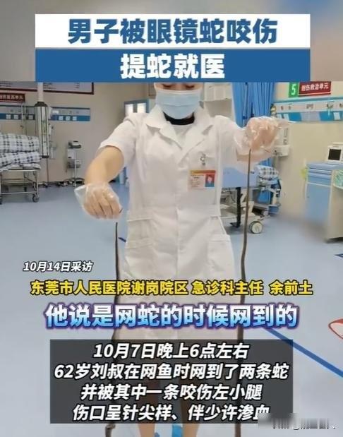 蛇咬人后他提蛇去医院，是疯了还是聪明？医生都愣住了广东东莞有个六十二岁的老渔