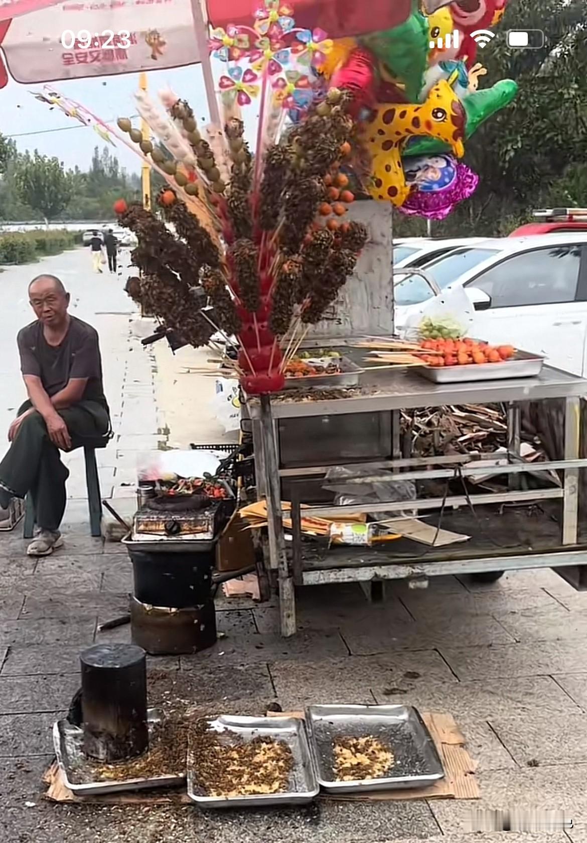你见过被蜜蜂“攻占”的糖葫芦摊吗？一堆一堆蜜蜂的糖葫芦，你敢吃吗？大爷的糖葫