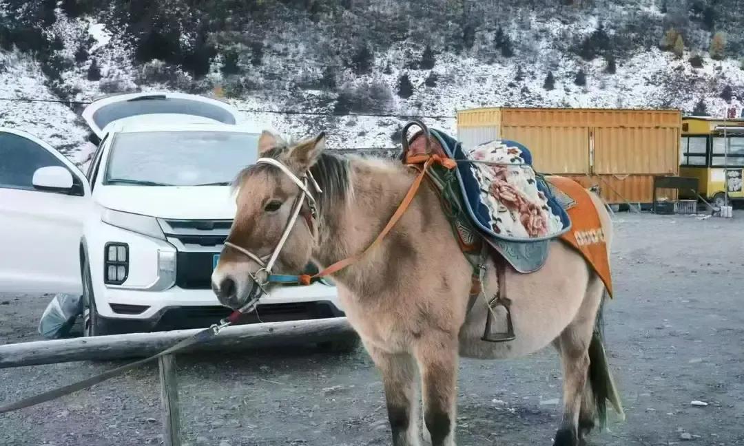 2003年想进厂得先托人，盖房的小工却一天二十块现结，力气换钱，简单直接。村里