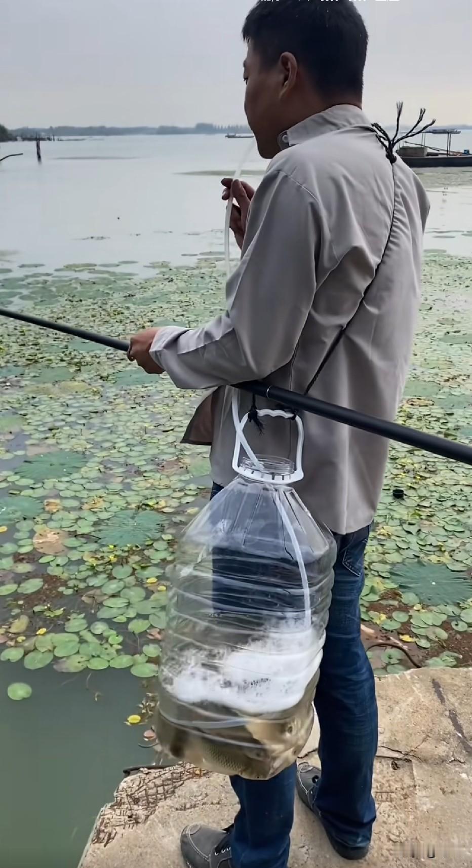 我就想知道最后鱼有没有中毒。[捂脸哭][捂脸哭]