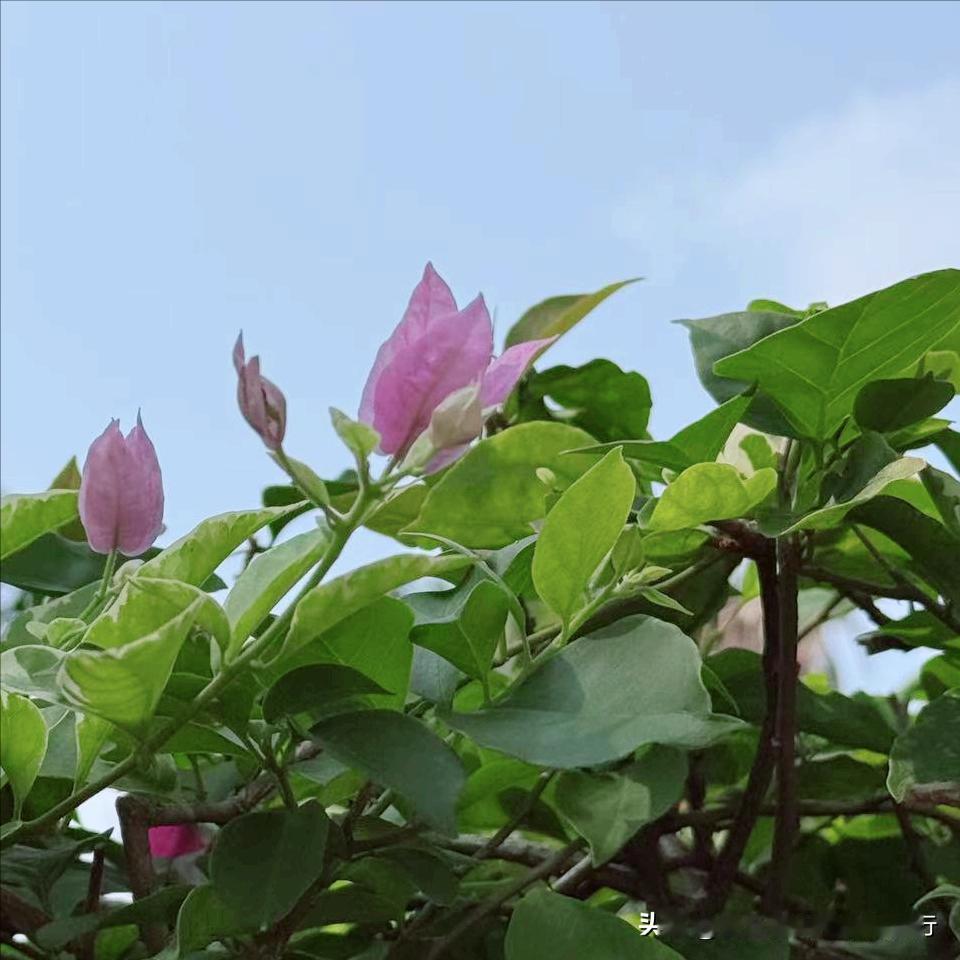 益阳市迎来新的政府主要负责同志 4月21日，75后的刘勇会履新该市。  