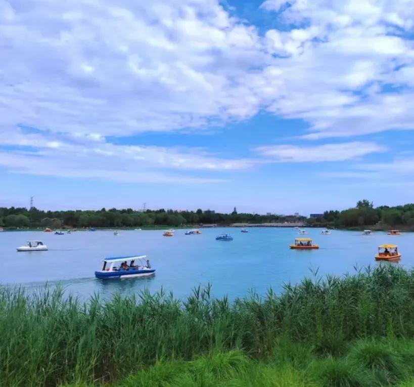 夏日的“北京小奈良”南海子公园位于北京大兴区的南海子郊野公园，占地11.65平