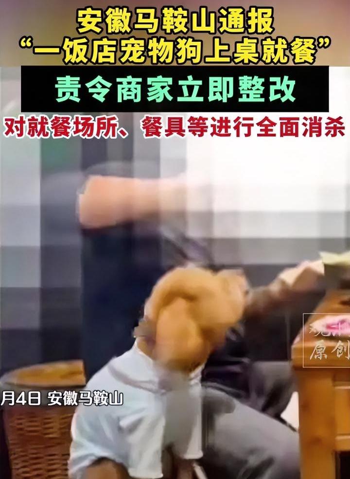 嘴硬不到一天，饭店就整改了，估计老板也是个爱狗人士，骨子里觉得狗不比人脏。被人