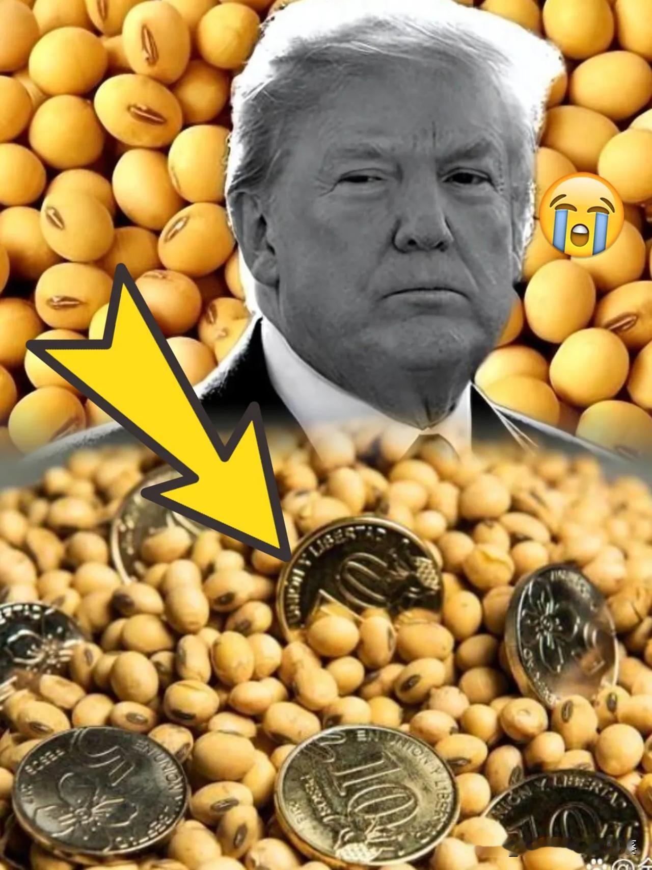 这下咱们可算是看明白了~川普这老爷子办事向来简单粗暴，12月9号白宫那一