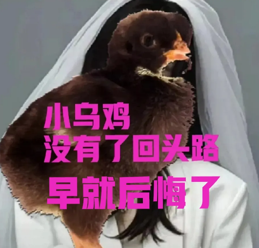 熊三石不傻早就后悔了，世界上没有后悔药啊？大娘也说活着就是胜利✌，熊也想开了，