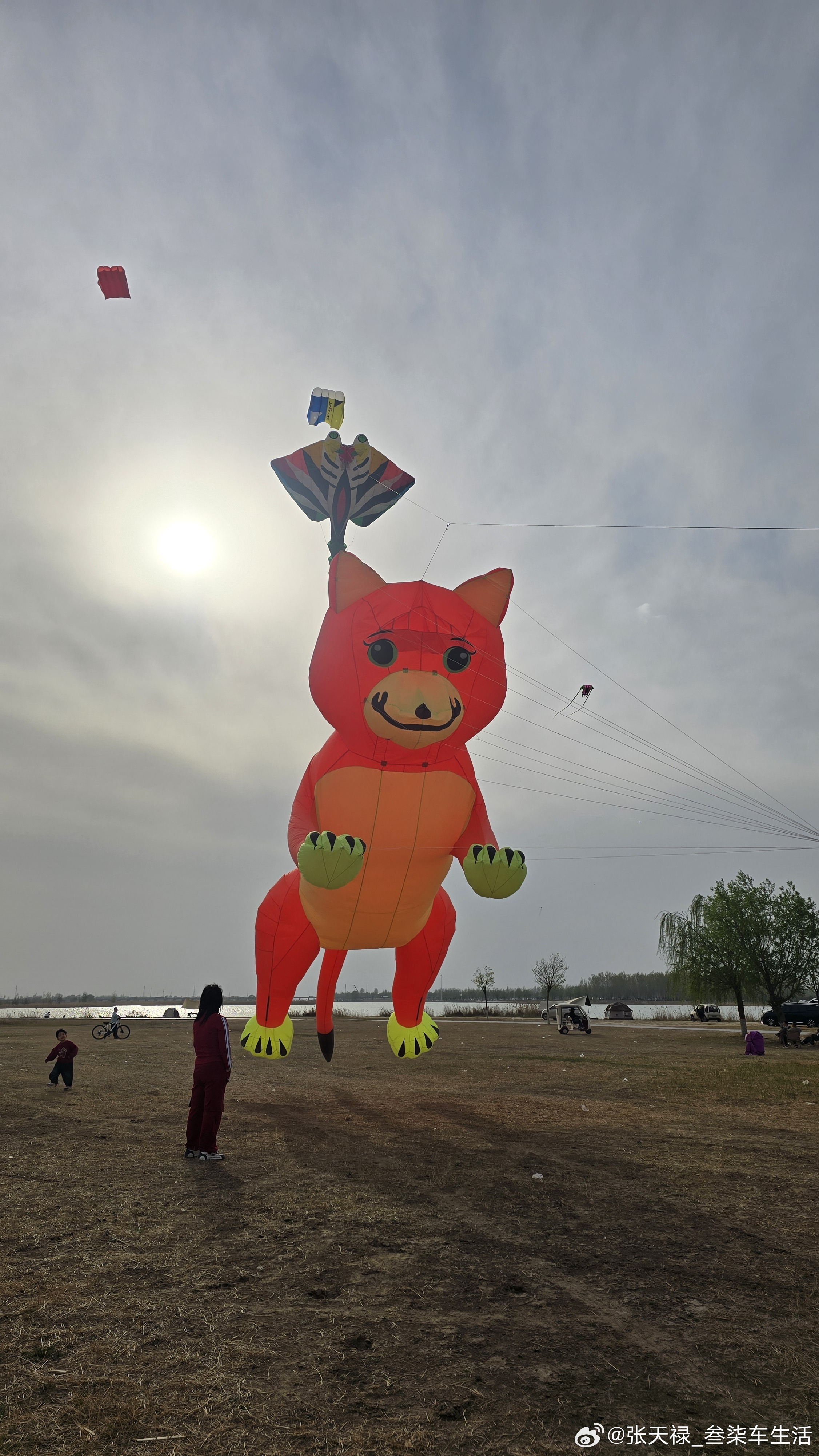 这个狐狸个头不小啊放风筝