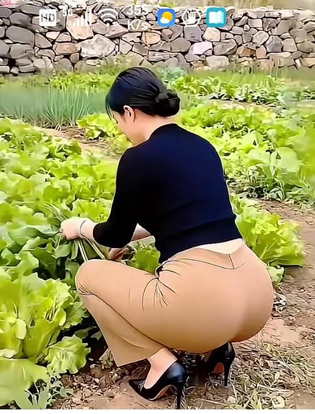 〔农家小院风光好〕生来偏爱悠然田园，厌倦闹市车马喧嚣。漫步乡间小路，溪水潺潺