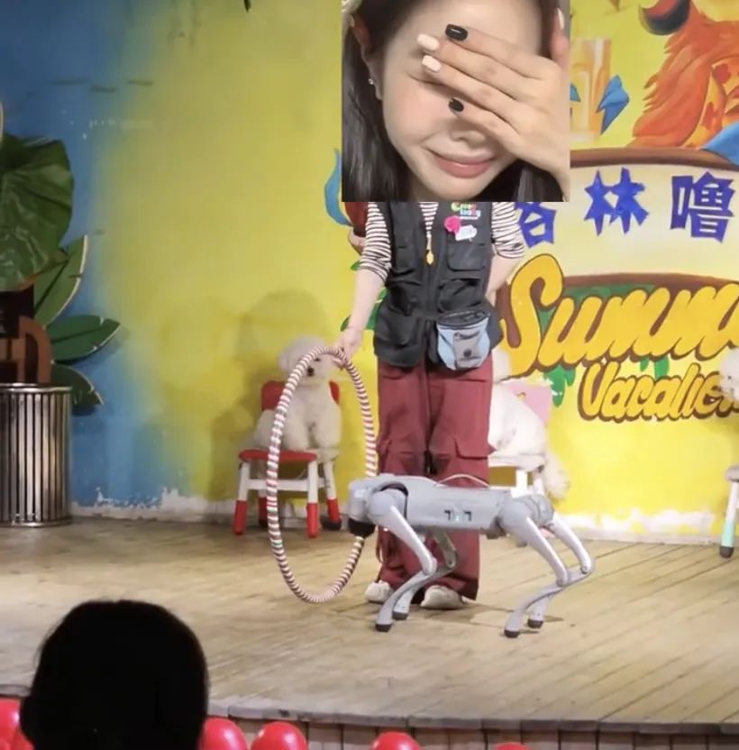 拒绝动物表演所以用机械狗
