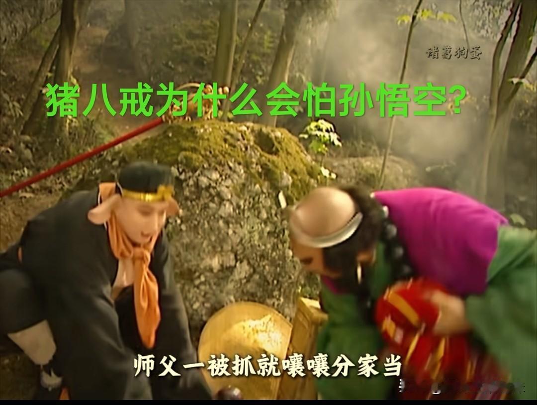 重温「西游记」后才懂猪八戒为何这么怕孙悟空？我们都知道，在西游记的描述里猪八戒