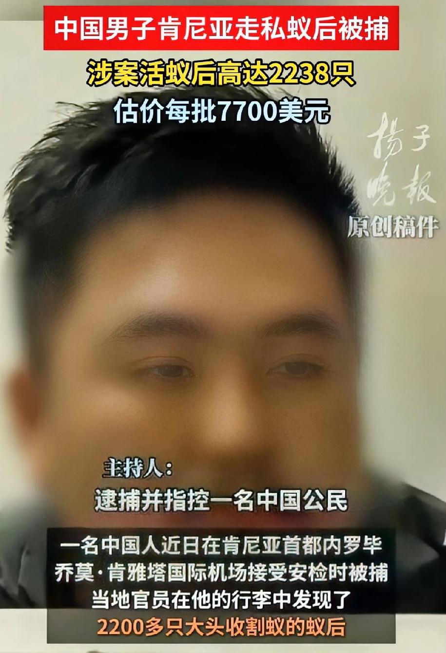 胆大包天！中国公民在肯尼亚走私2200只活蚁被抓，网友怒了：严惩不贷！本周