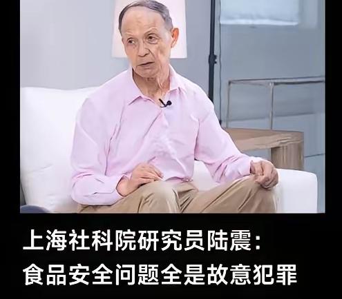 食品质量出问题，全都是故意犯罪！陆震一句话戳破真相！这话是不是戳到你心窝子