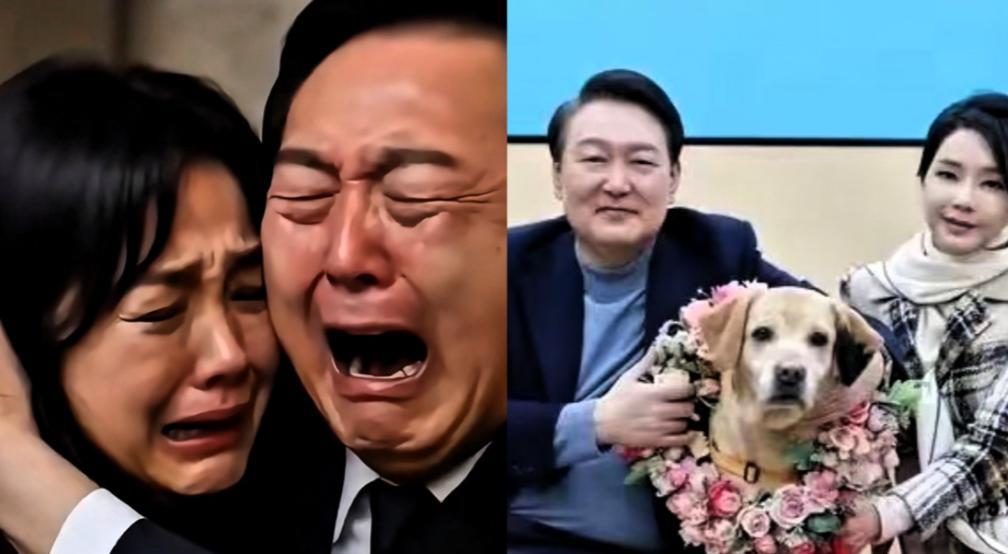 这大反转，又意味着什么？曾经在政治舞台上强硬张扬的尹锡悦，在“内乱特检法”