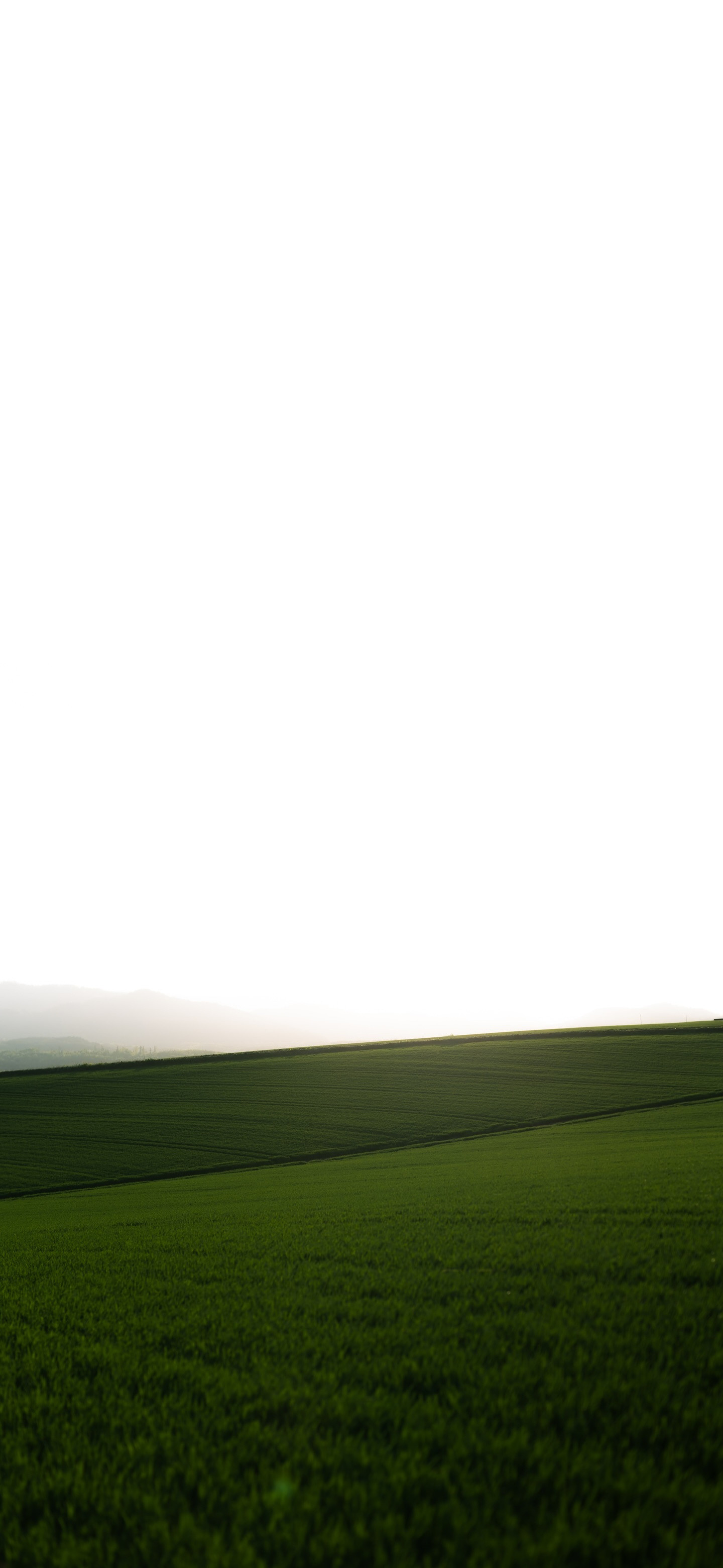 小伙伴们早啊～风景壁纸今天上完我就放年假了，舒坦。