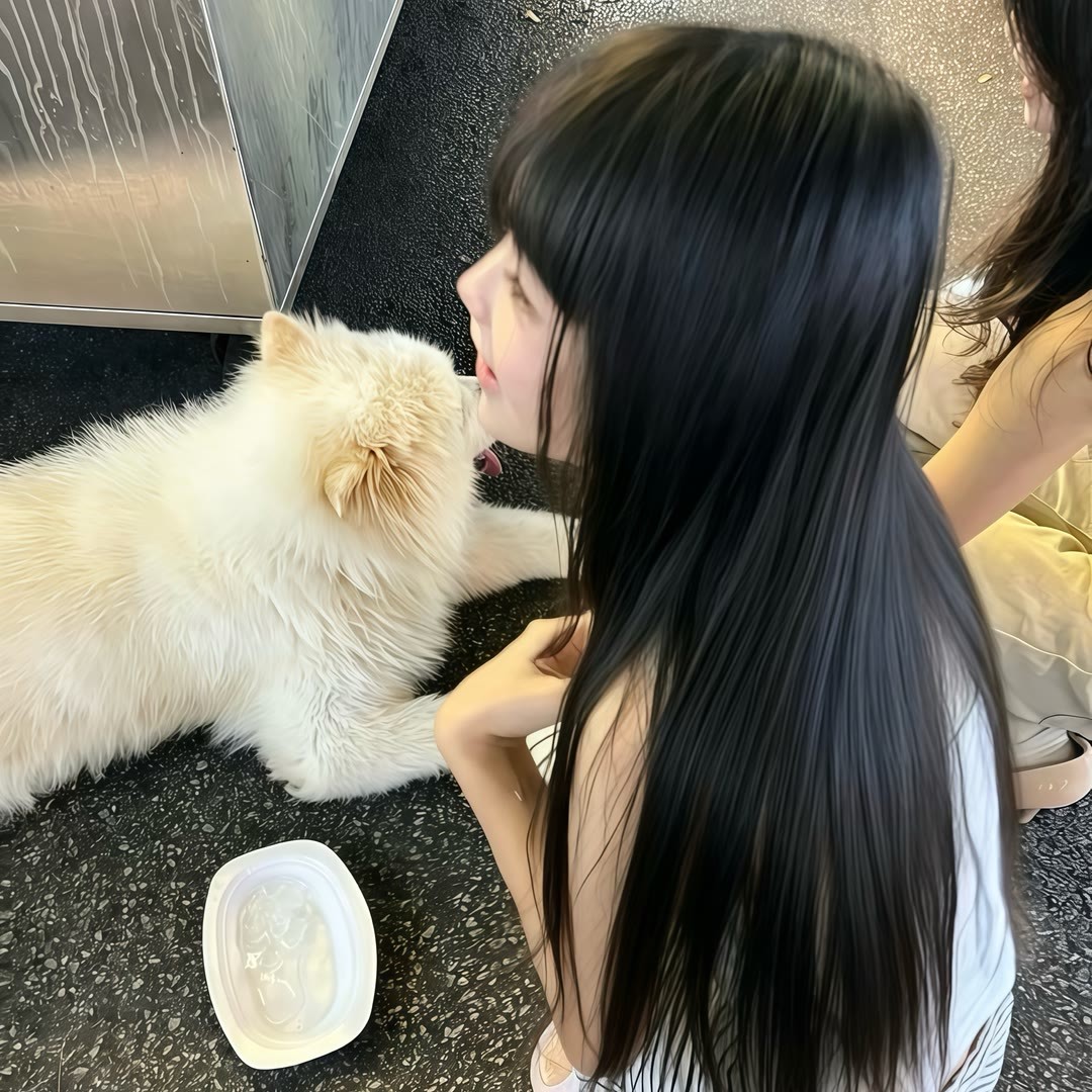 -ʚ･小猫·小狗·头像･ɞ