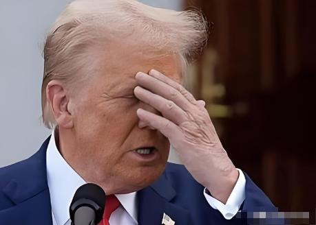 刚离职的白宫贸易顾问在私人酒会上透露：“特朗普最近对华示好全是演的，真正核心是为