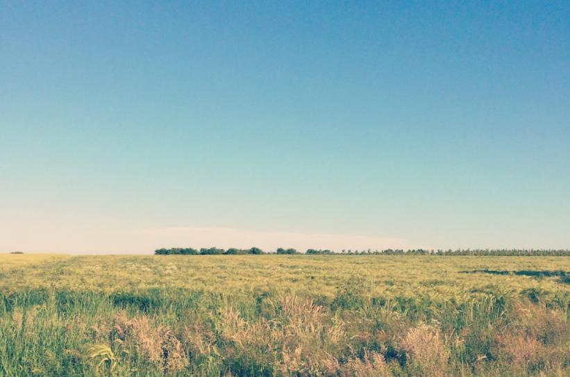 中医名家张伯礼说：“把自己当傻子，傻吃，傻喝，傻睡。只要能吃好，睡好，保