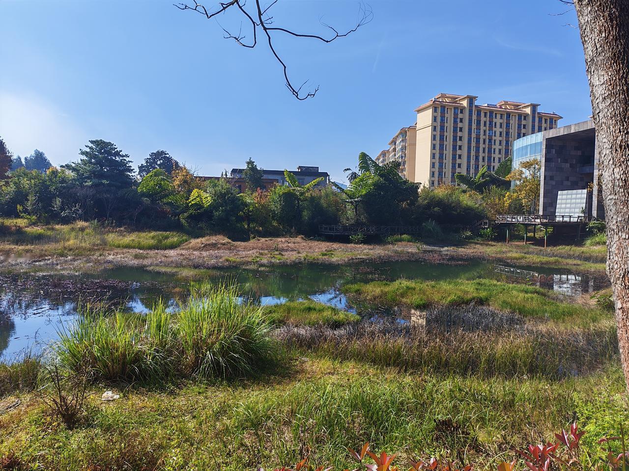 【终于看见两个人吃一碗面了】今天早上，在昆明某餐馆，终于看到两个外省人吃一碗面的