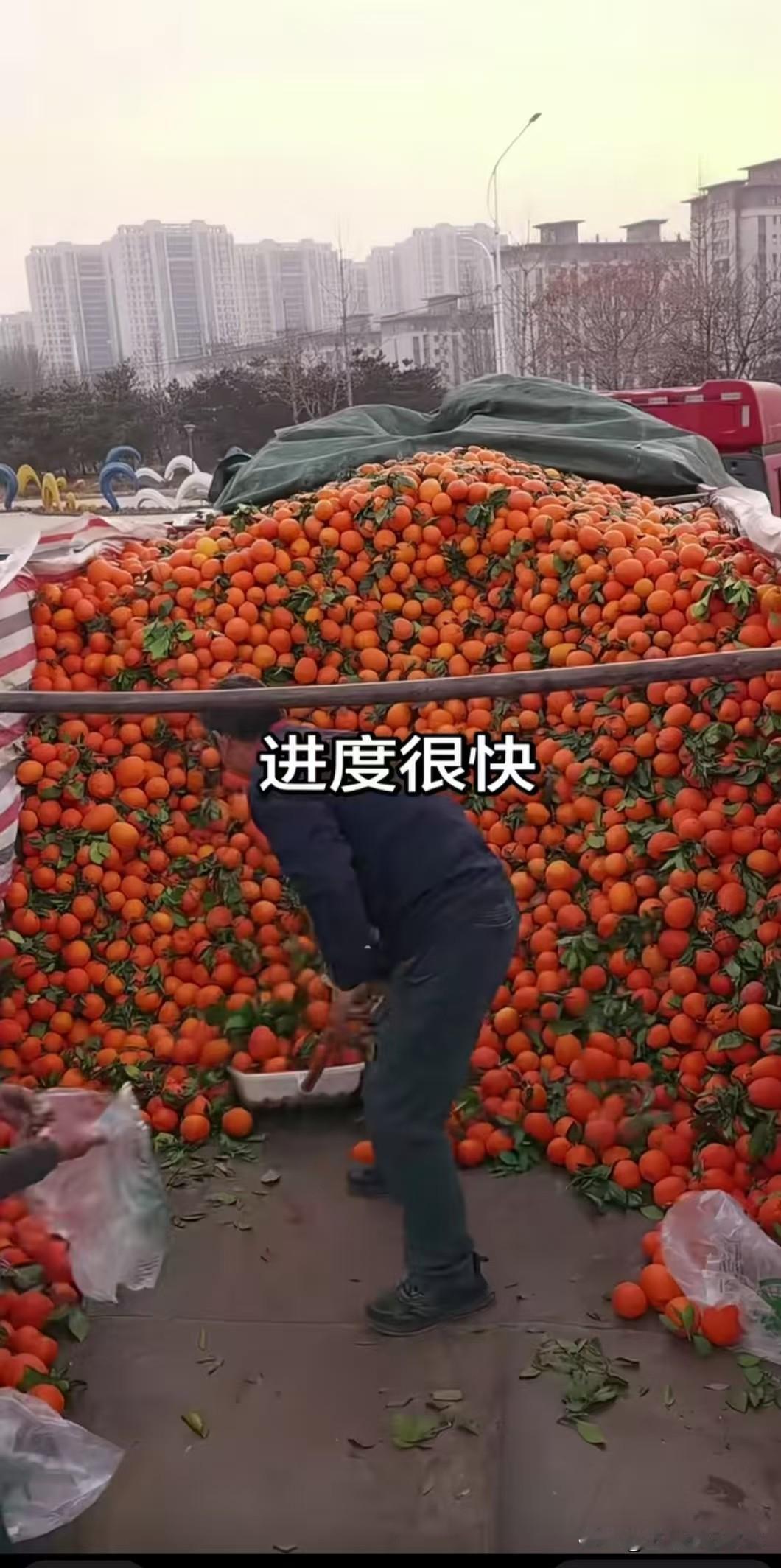 货车司机三天挣1万多，简直太挣钱了！！！运输费低，还不好结款，司机们开始自己拉