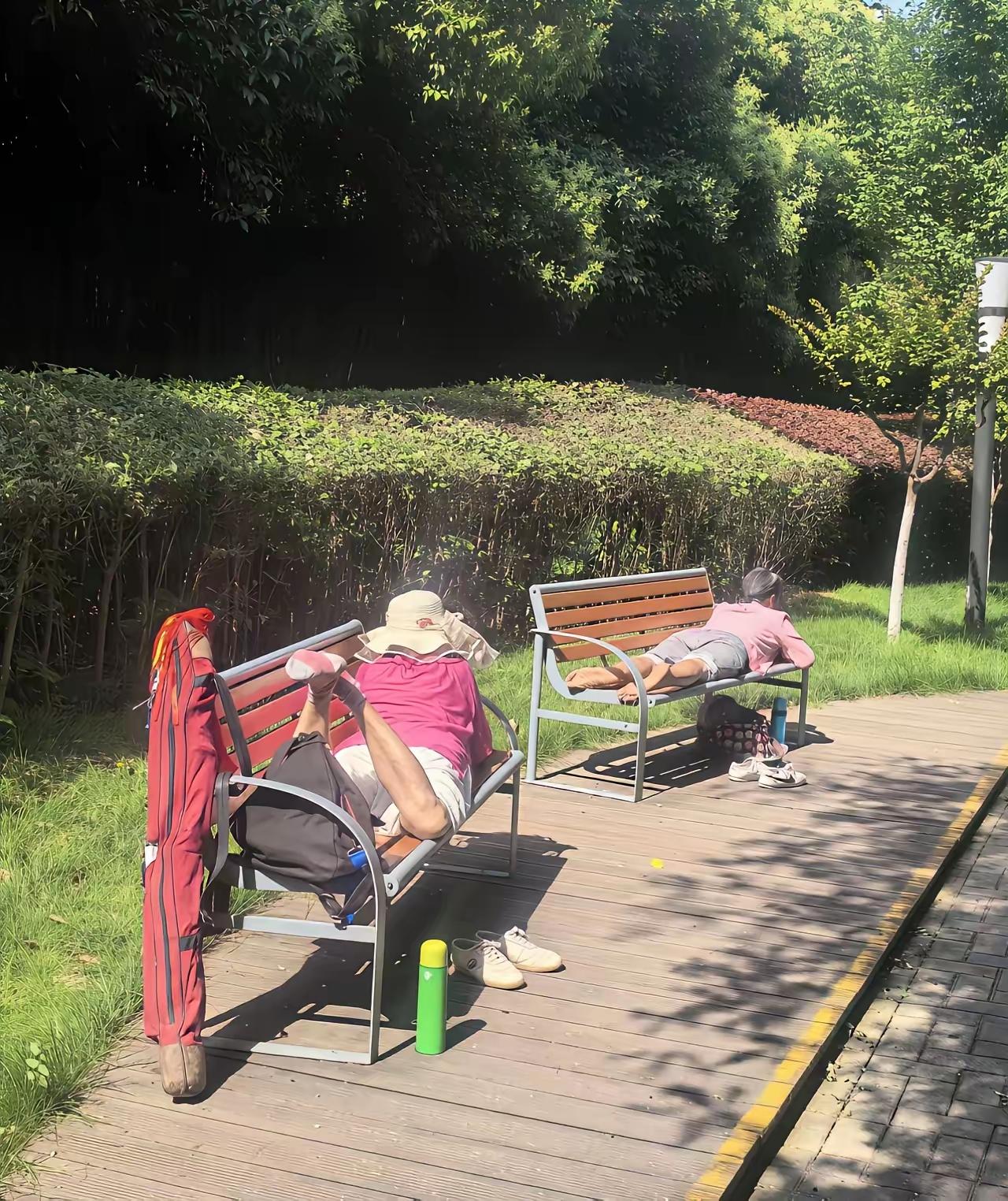 公园的长椅，全被出来晒背的大爷大妈占据了。有人说，这些老人缺乏公德心，颇有几