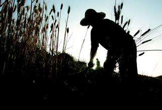 收入证明_麦客收入(3)