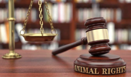 证监会亮剑: 长药锁定退市、立方遭警示, 火中取栗式炒作遭棒喝