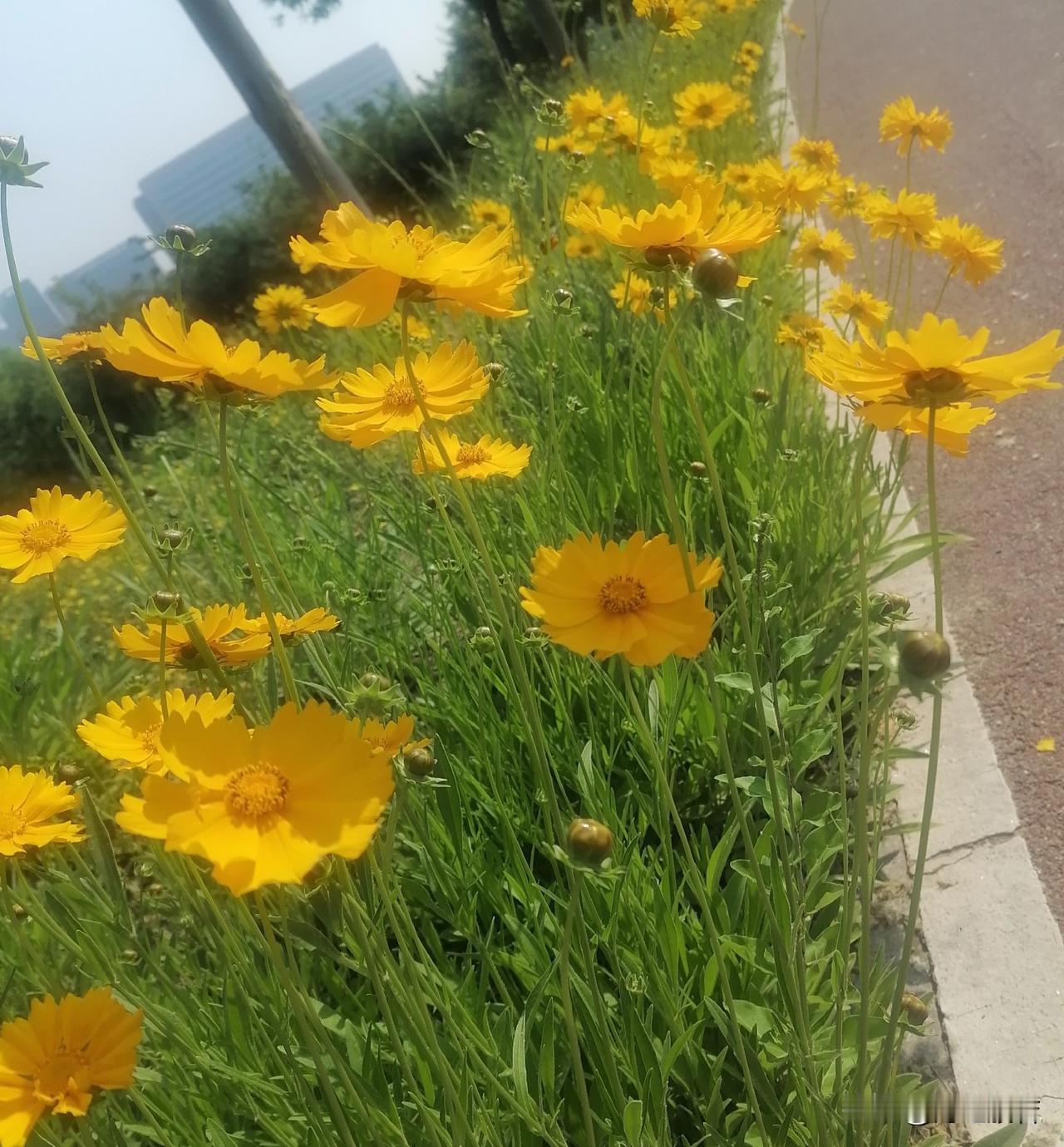 思考需要时间，深度思考更需要时间，可时间就那么多，用时间赚钱养活自己，养活全家。