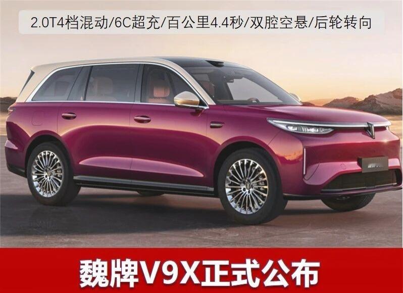 为了打败迪子，老魏带着长城亲自压上了~有迪子的地方，长城就一定会出手！今年可