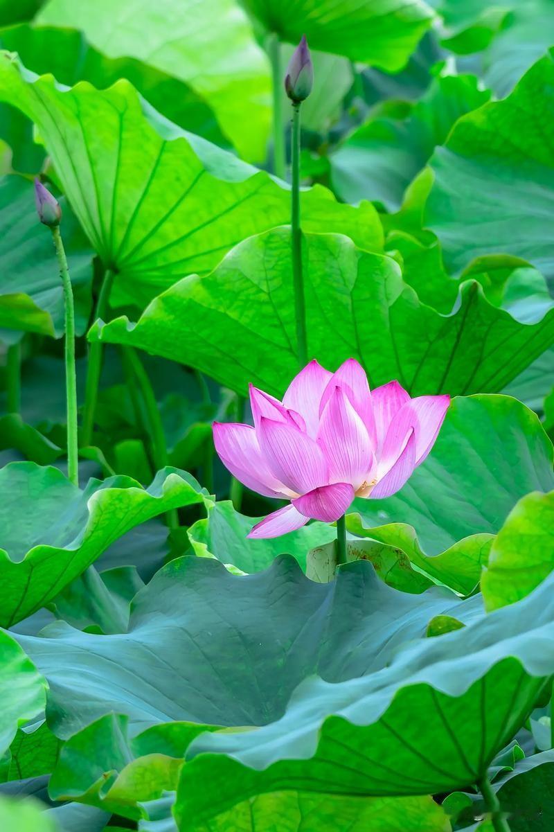 放下陈规旧习冷静想一想，不结婚就是好。如果想儿孙满堂延续香火，你就得准备房子